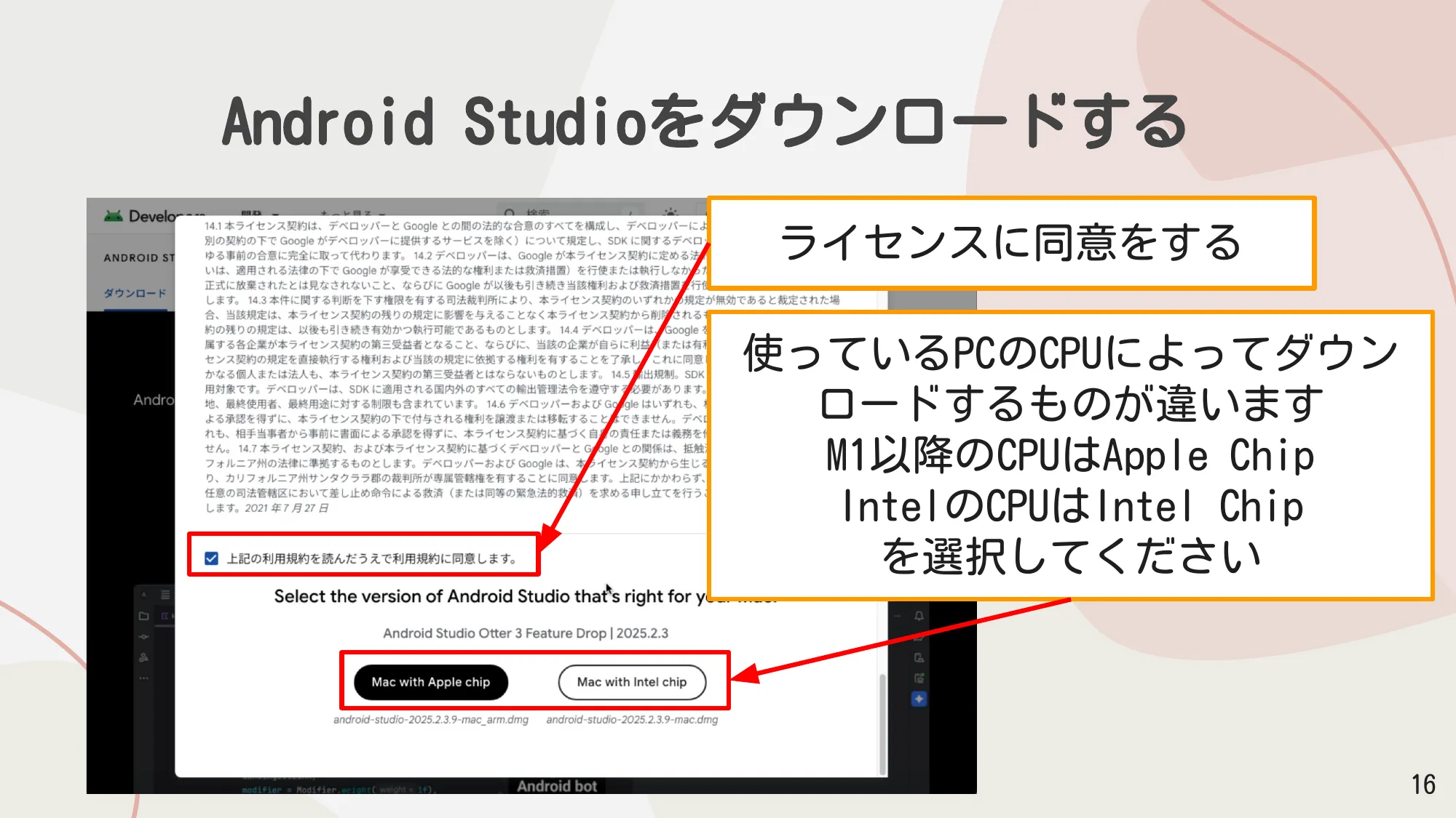 Android Studioダウンロード画面。ライセンスに同意し、Apple ChipまたはIntel Chipを選択する